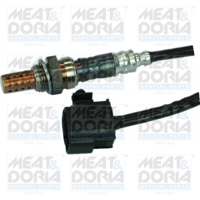 Oxygen Sensor